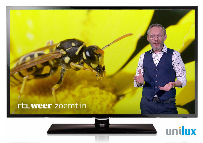 Beeld van een televisie waarop een quizvraag over bijen wordt gepresenteerd.