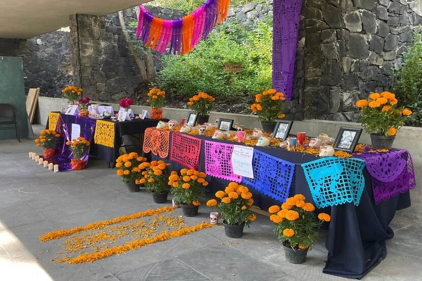 dia de los muertos